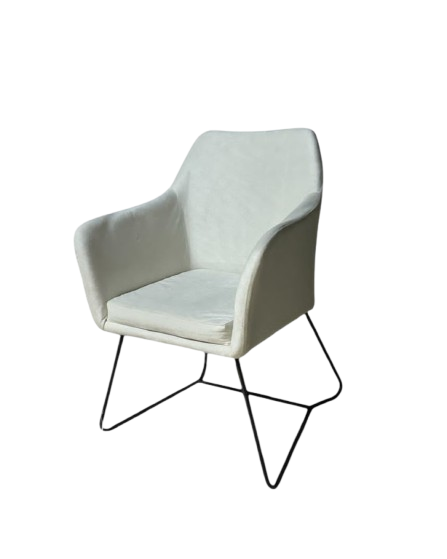Elegant White Lounge Chair