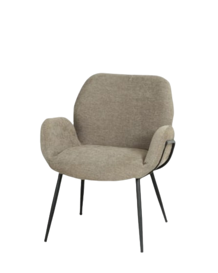 Modern Accent Chairs