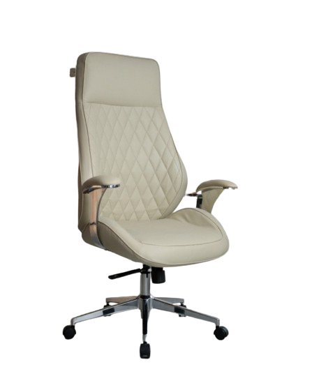 Executive Office Chair